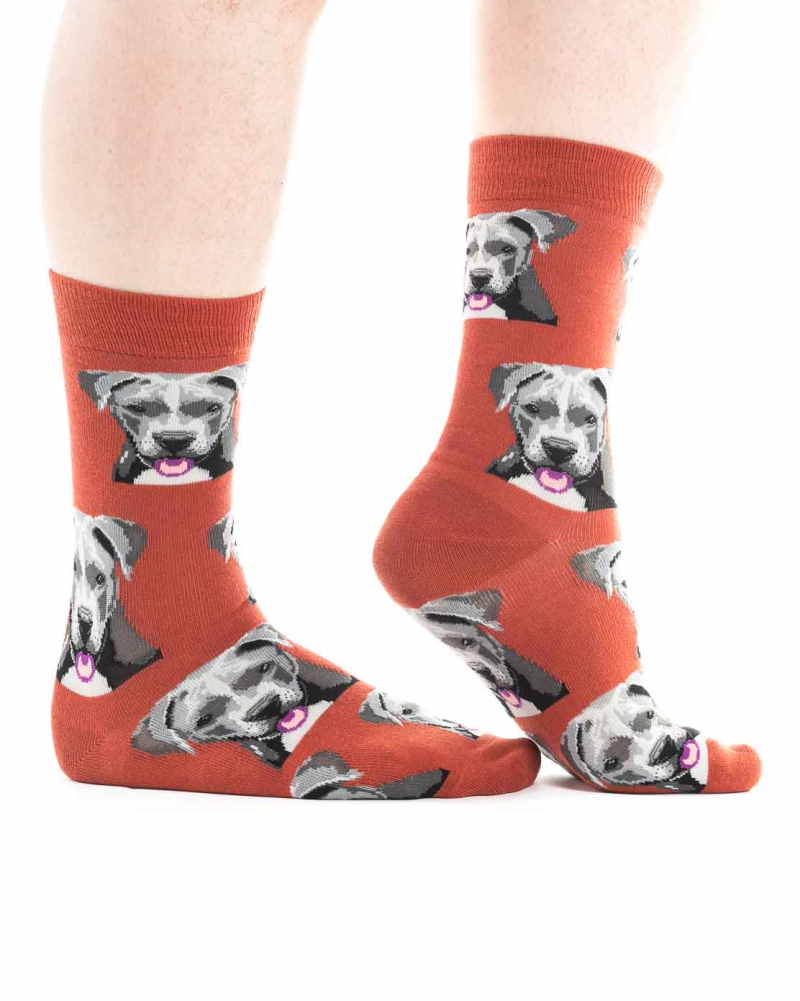 Ponožky DOG